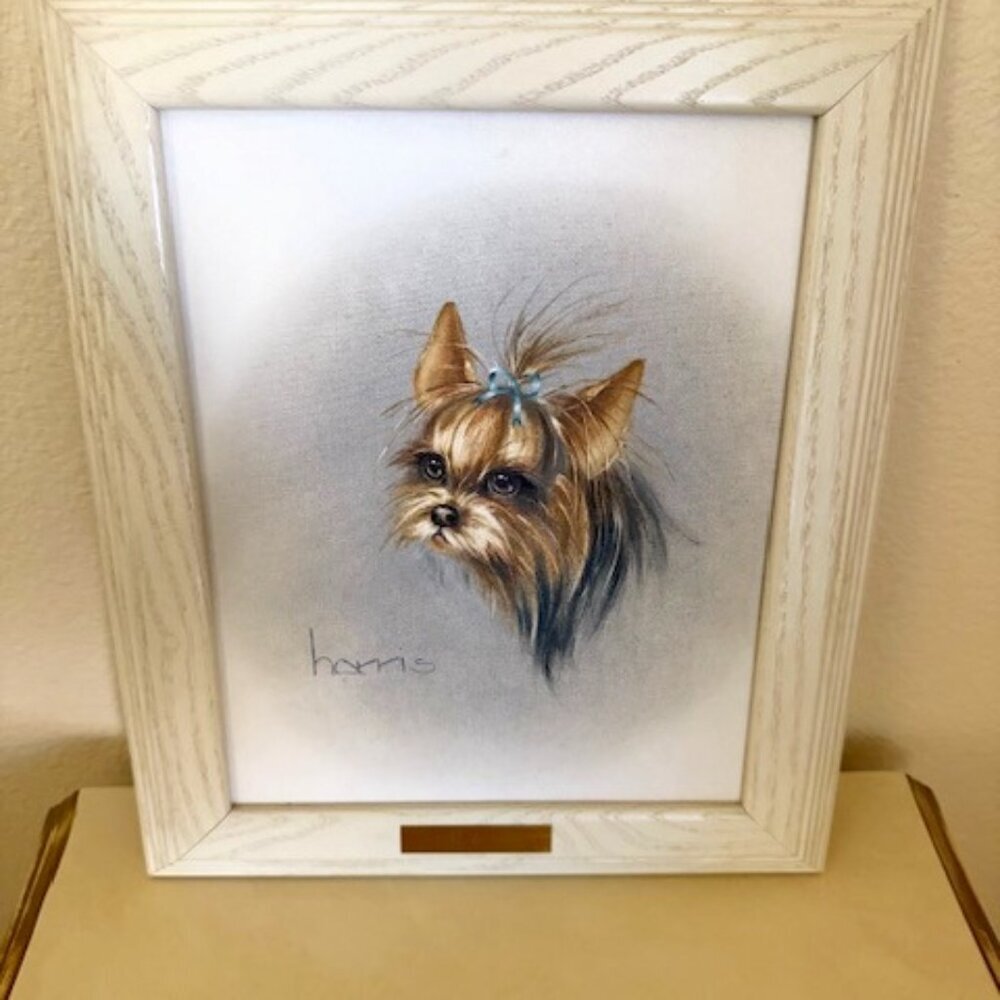 Yorkshire Terrier Yorkie Dog Portrait oil by  peggy harris